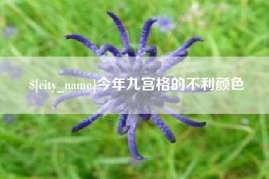 德州今年九宫格的不利颜色