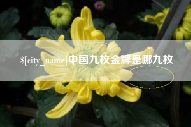 德州中国九枚金牌是哪九枚