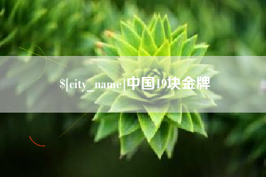 德州中国19块金牌