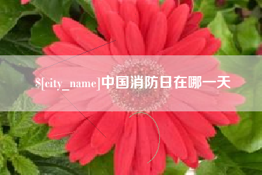 德州中国消防日在哪一天