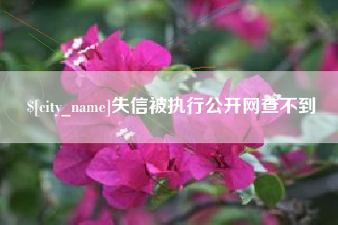 德州失信被执行公开网查不到