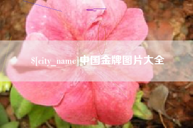 德州中国金牌图片大全