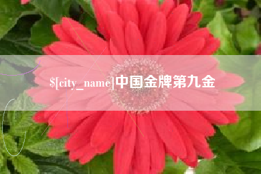 德州中国金牌第九金