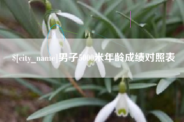 德州男子5000米年龄成绩对照表