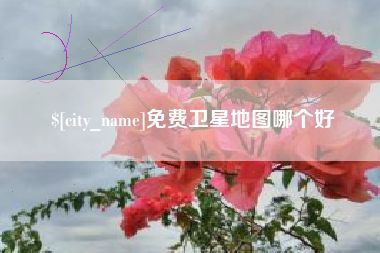 德州免费卫星地图哪个好