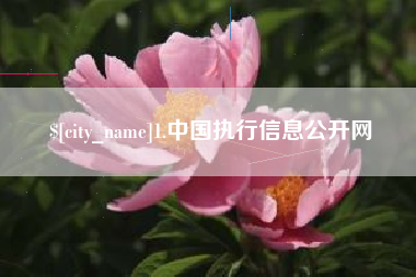 德州1.中国执行信息公开网