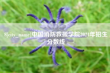 德州中国消防救援学院2024年招生分数线