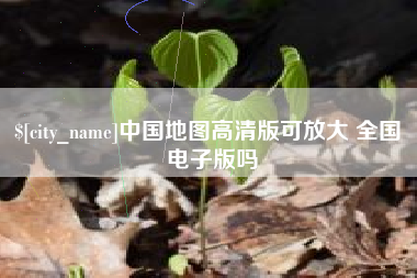 德州中国地图高清版可放大 全国 电子版吗