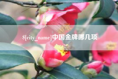 德州中国金牌哪几项