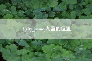 德州九宫的位置
