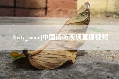 德州中国消防现场直播视频