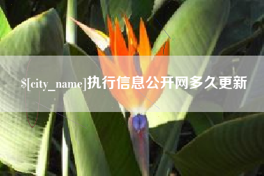 德州执行信息公开网多久更新