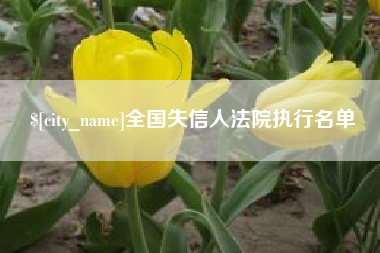 德州全国失信人法院执行名单