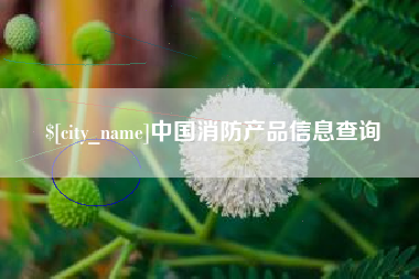 德州中国消防产品信息查询