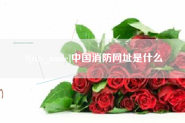 德州中国消防网址是什么