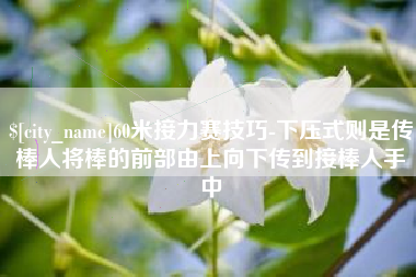 德州60米接力赛技巧-下压式则是传棒人将棒的前部由上向下传到接棒人手中