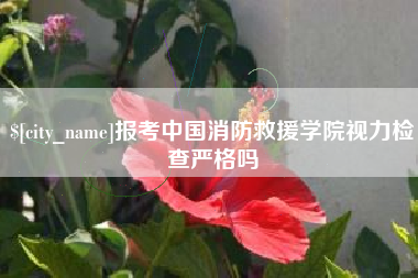 德州报考中国消防救援学院视力检查严格吗