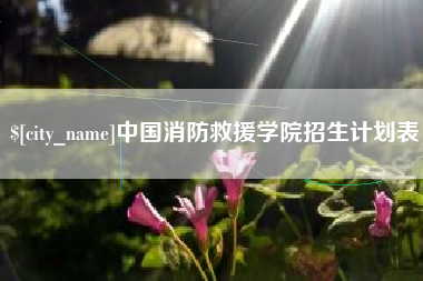 德州中国消防救援学院招生计划表