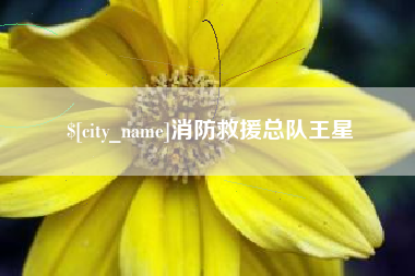 德州消防救援总队王星