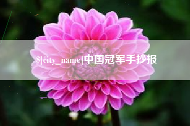 德州中国冠军手抄报