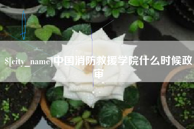 德州中国消防救援学院什么时候政审