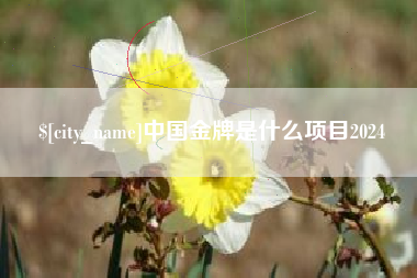 德州中国金牌是什么项目2024