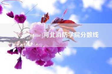 德州河北消防学院分数线