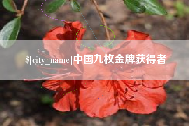 德州中国九枚金牌获得者