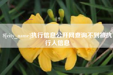 德州执行信息公开网查询不到被执行人信息
