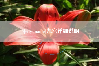 德州九宫详细说明