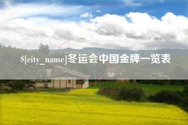 德州冬运会中国金牌一览表