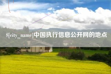 德州中国执行信息公开网的地点