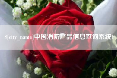 德州中国消防产品信息查询系统1