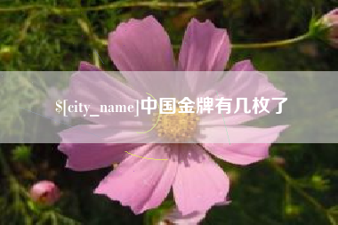 德州中国金牌有几枚了