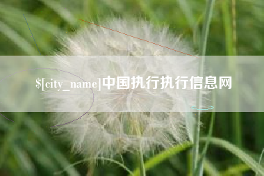 德州中国执行执行信息网