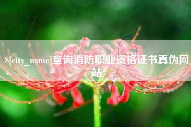 德州查询消防职业资格证书真伪网站