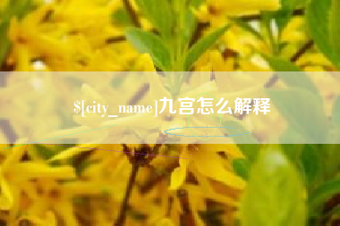 德州九宫怎么解释