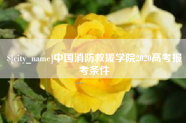 德州中国消防救援学院2020高考报考条件