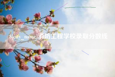 德州消防工程学校录取分数线