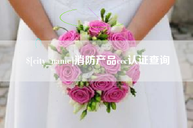 德州消防产品ccc认证查询