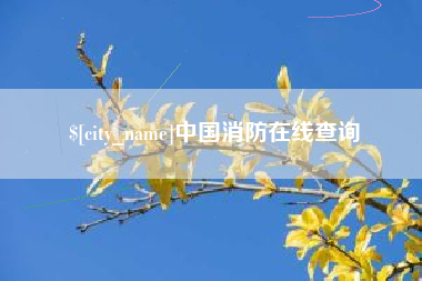 德州中国消防在线查询