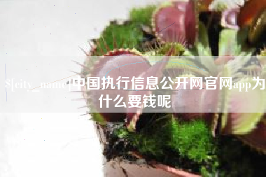 德州中国执行信息公开网官网app为什么要钱呢