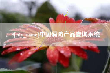 德州中国消防产品查询系统
