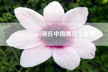 德州现在中国哪几个金牌