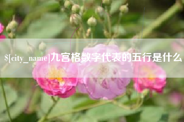 德州九宫格数字代表的五行是什么