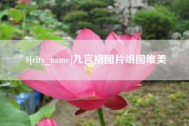 德州九宫格图片组图唯美
