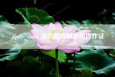 德州消防证国网查询操作证