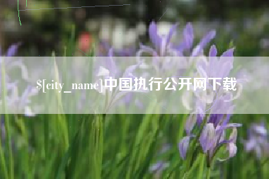 德州中国执行公开网下载
