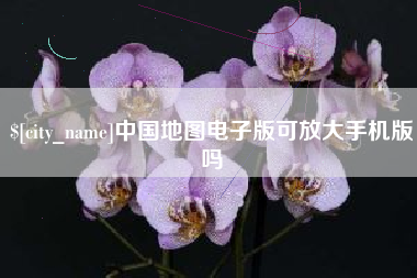 德州中国地图电子版可放大手机版吗
