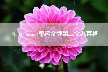 德州奥运金牌第二个九宫格